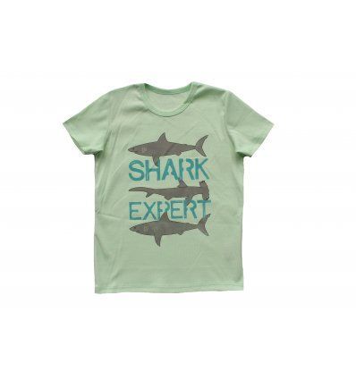 Dječaci - Majice kratkih rukava - Majica kiwi - kratkih rukava - Shark expert
