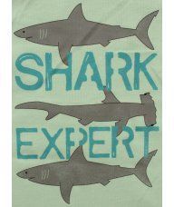 Majica kiwi - kratkih rukava - Shark expert 2
